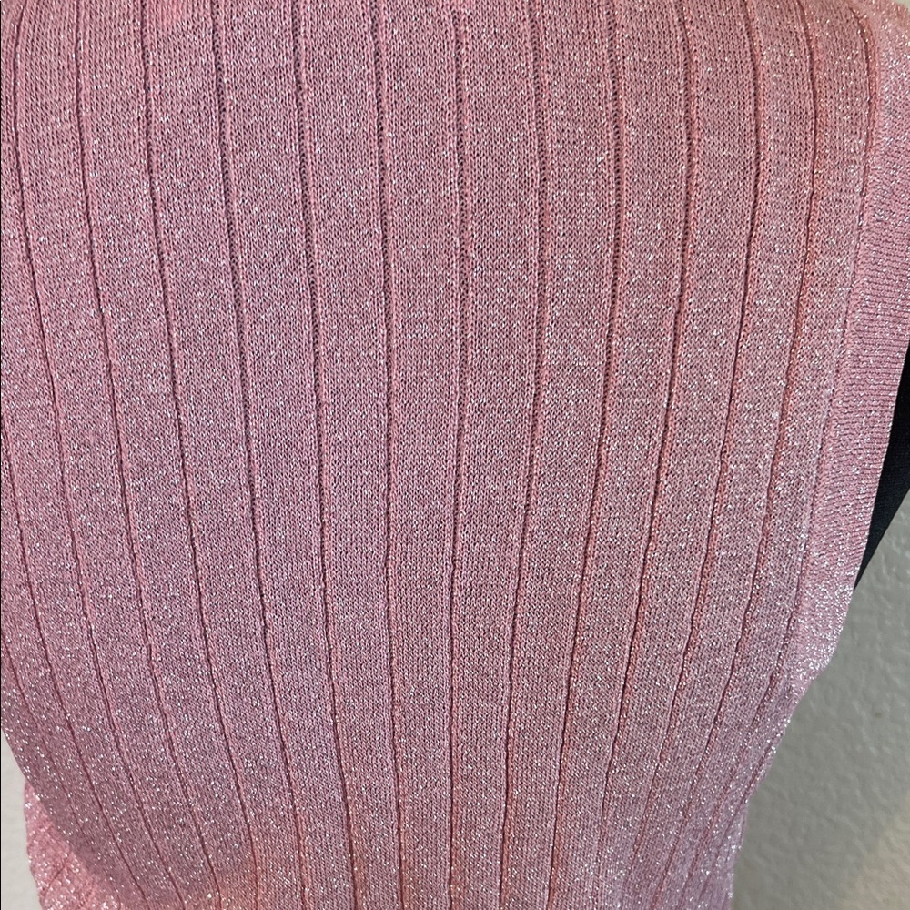 Zara Shimmery Light Pink Ribbed Scoop Neck Tank - Picture 6 of 6